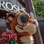 Романтичний Тигра, об'ємна фігура перед магазином ROSHEN, Нивки, Київ, Україна 2024 Романтичний Тигра, об'ємна фігура перед магазином ROSHEN, Нивки, Київ, Україна 2024