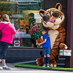 Романтичний Тигра, 3D фігура перед магазином ROSHEN - прекрасна фотозона, Нивки, Київ, Україна 2024 Романтичний Тигра, 3D фігура перед магазином ROSHEN - прекрасна фотозона, Нивки, Київ, Україна 2024