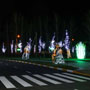 Новогоднее оформление Жилищного комплекса «Континент», г.Буча Новогоднее оформление Жилищного комплекса «Континент», г.Буча