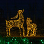 Фотозона - световая 3D-фигура производства Blachere Illumination, Добропарк, Украина
Фотозона - световая 3D-фигура производства Blachere Illumination, Добропарк, Украина