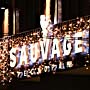 Оформление ресторана «Sauvage» в г. Киеве Оформление ресторана «Sauvage» в г. Киеве